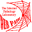 
Web Path  Pathology Main Page